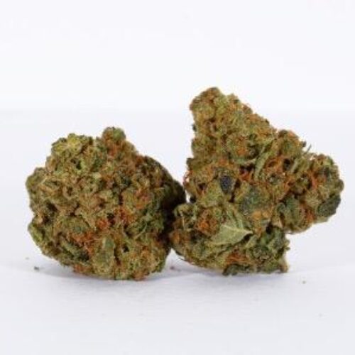 Apple fritter strain