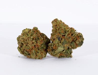 Apple fritter strain