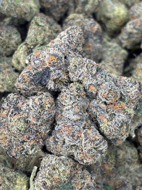 Bahama zootiez strain