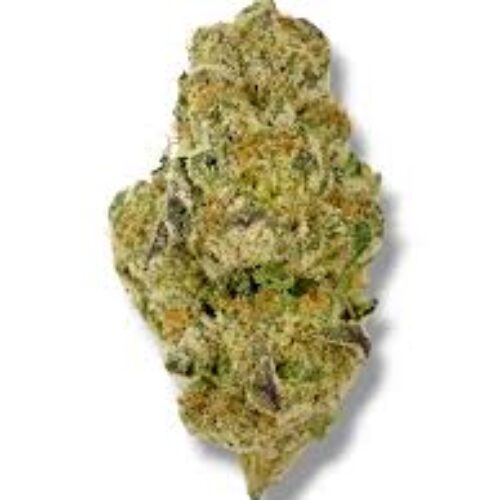 Astro cherries strain