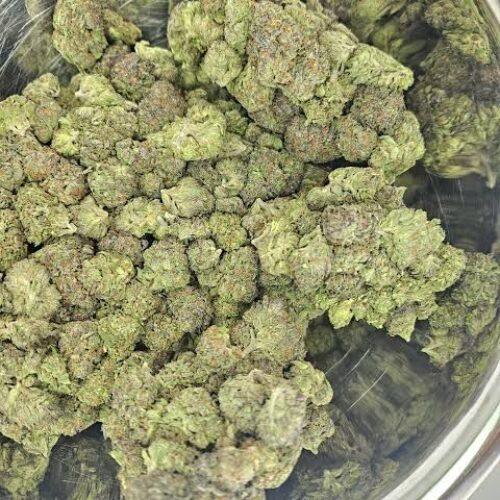 Bubble gum runtz strain