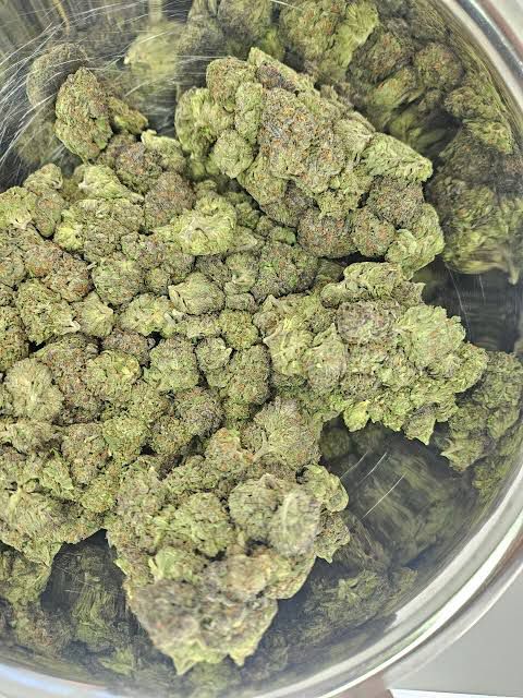 Bubble gum runtz strain