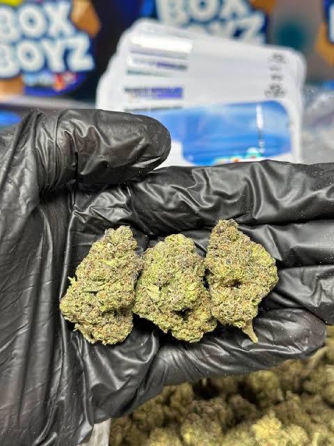 Bubblegum cherry strain