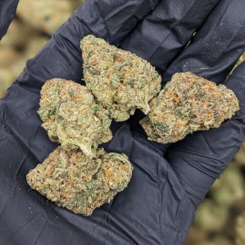 Cadillac rainbow strain