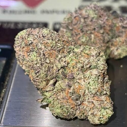 candy lemonz strain