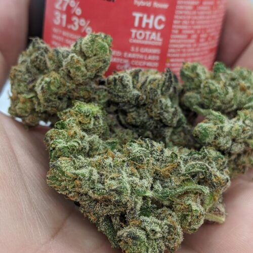 Cherry fritter strain