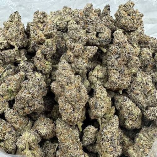 Cherry lemonade strain