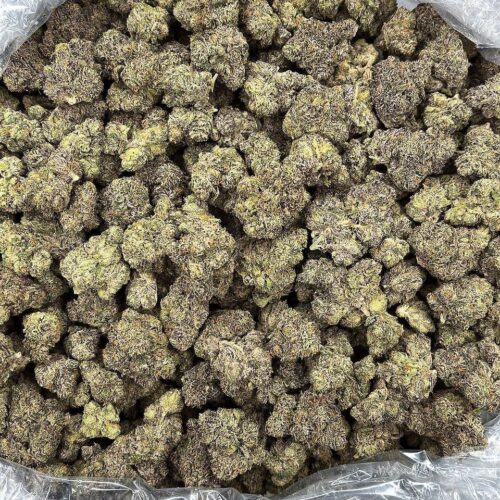 Cherry sprite strain